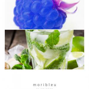 Mojibleu