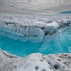 Menthe ULTRA glaciale !