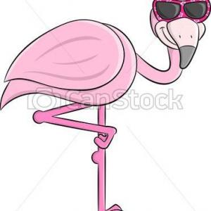 Le flamand rose