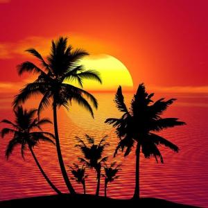 Jus de Fruits Tropical
